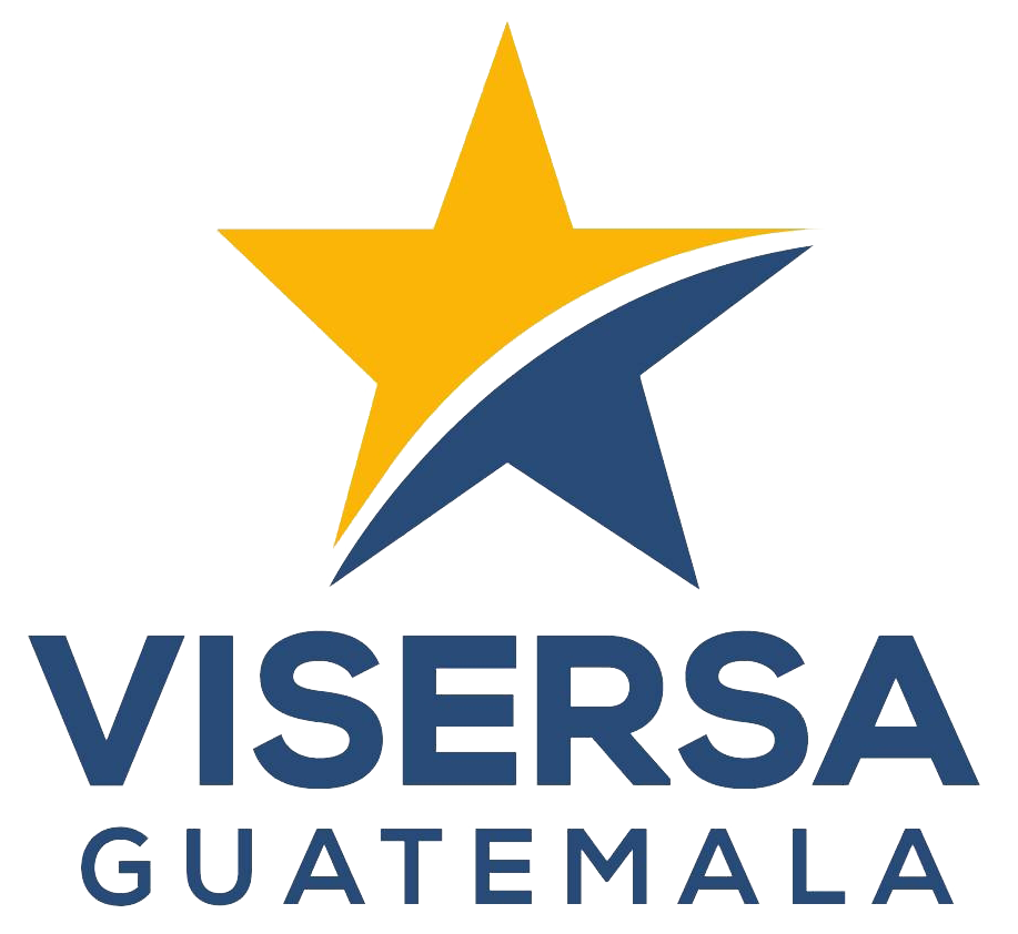 logo visersa